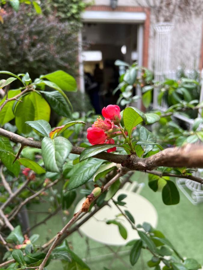Maison De La Huardiere Villa ซุลลี-ซูร์-ลัวร์ ภายนอก รูปภาพ